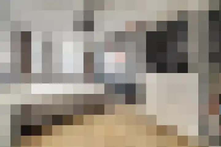 Iepenlaan 2 D Spijkenisse thumbnail 19