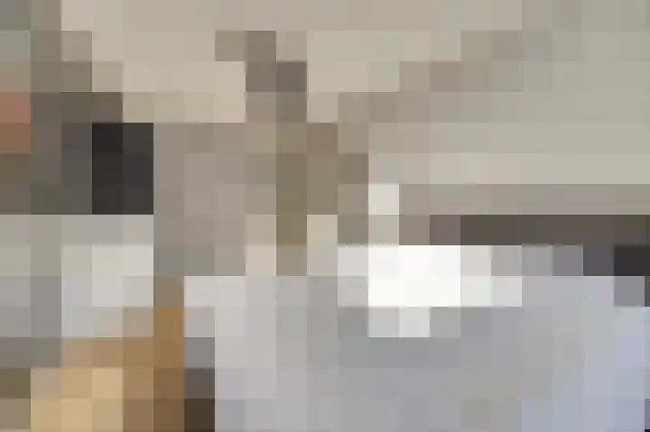 Iepenlaan 2 D Spijkenisse thumbnail 20