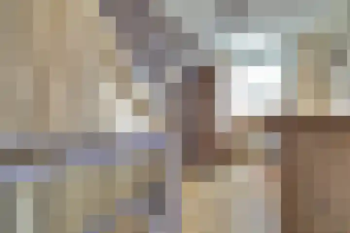 Iepenlaan 2 D Spijkenisse thumbnail 21