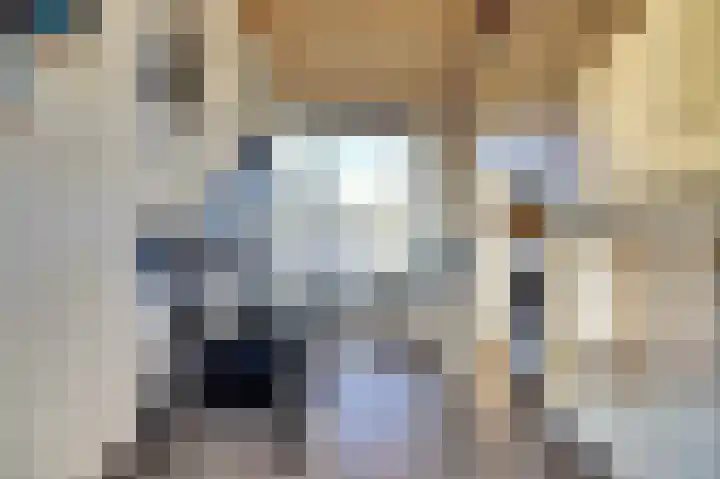 Iepenlaan 2 D Spijkenisse thumbnail 26