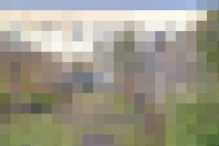 Iepenlaan 2 D Spijkenisse thumbnail 30