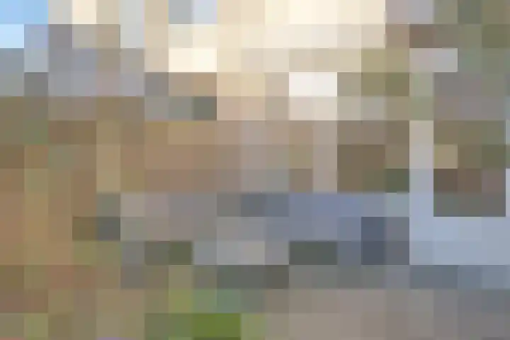 Iepenlaan 2 D Spijkenisse thumbnail 31