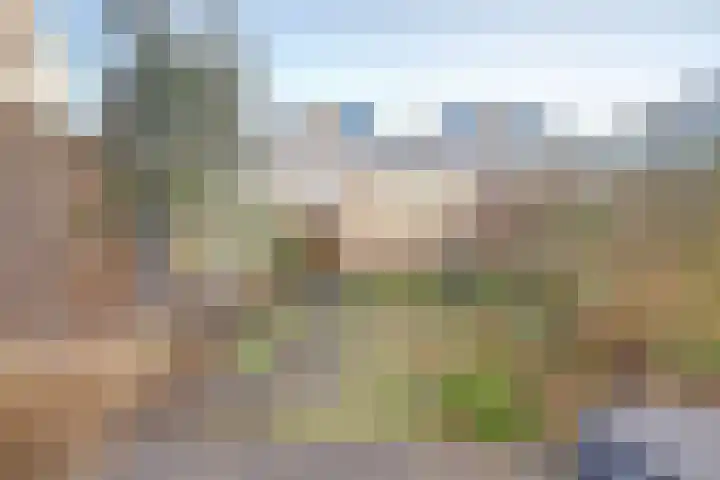Iepenlaan 2 D Spijkenisse thumbnail 32