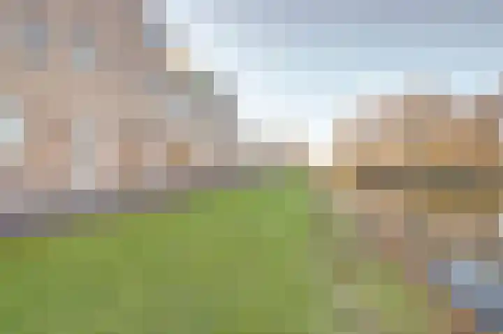 Iepenlaan 2 D Spijkenisse thumbnail 34