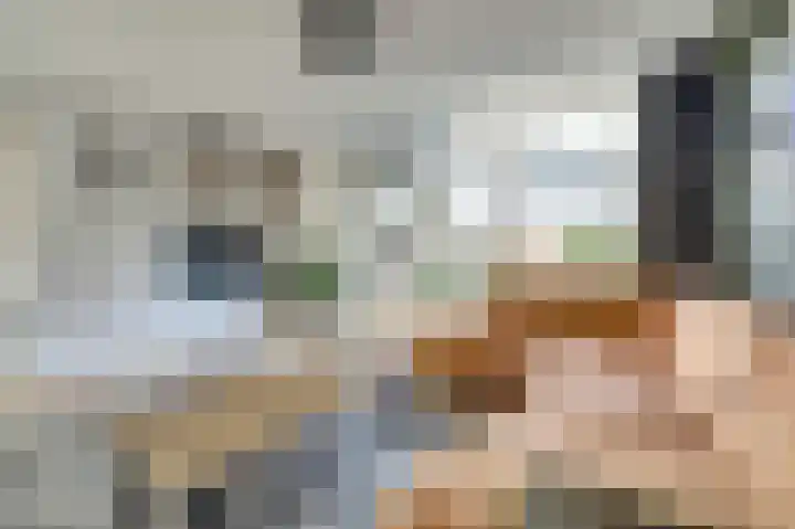 Iepenlaan 2 D Spijkenisse thumbnail 9