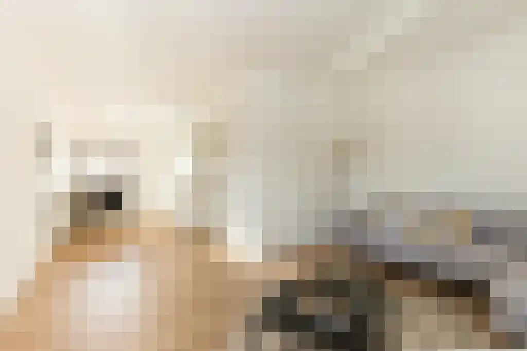 Iepenlaan 2 Heemstede thumbnail 6