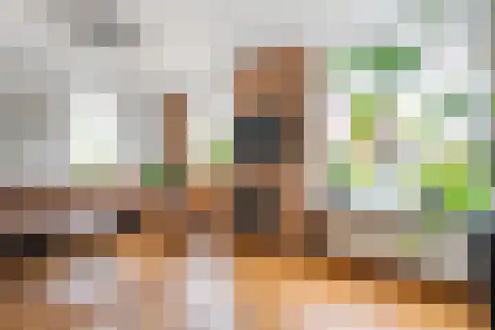 Iepenlaan 20 Balkbrug thumbnail 10