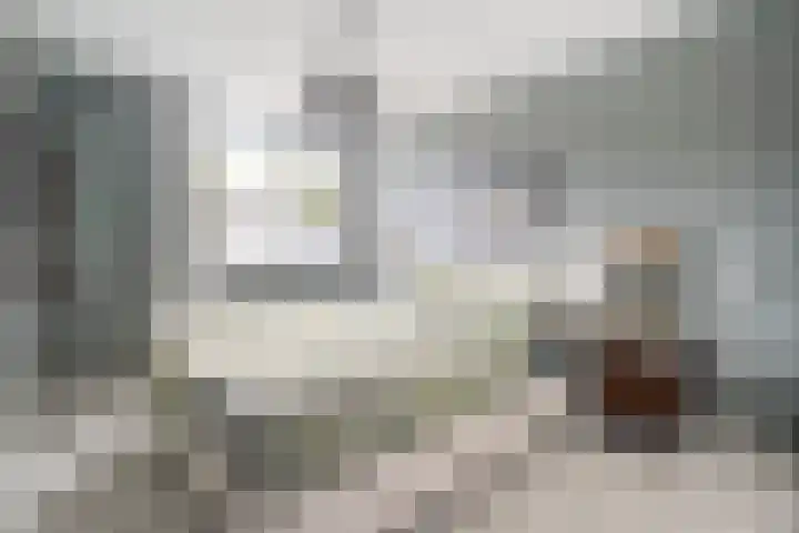 Iepenlaan 20 Balkbrug thumbnail 16