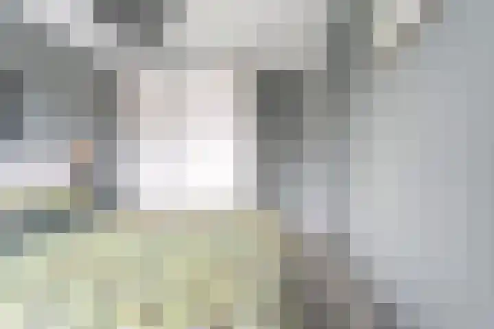 Iepenlaan 20 Balkbrug thumbnail 17