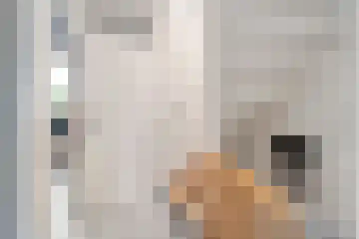 Iepenlaan 20 Balkbrug thumbnail 24