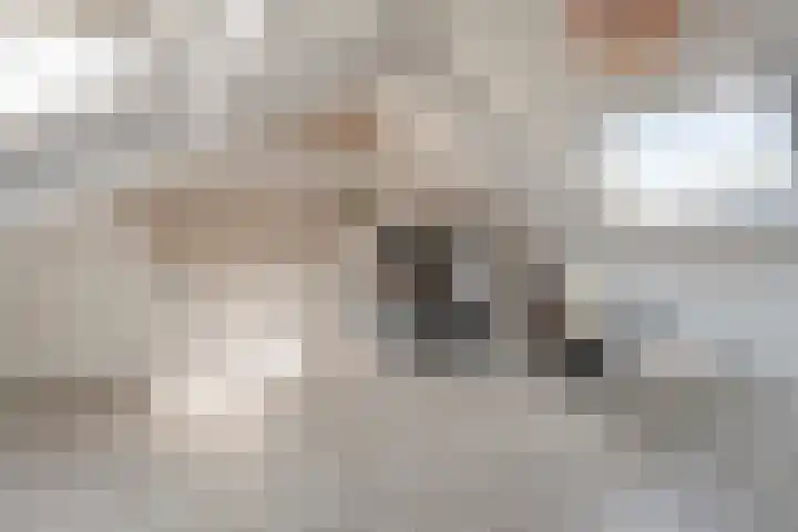 Iepenlaan 20 Balkbrug thumbnail 27