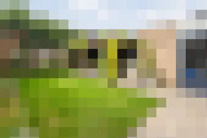 Iepenlaan 20 Balkbrug thumbnail 32