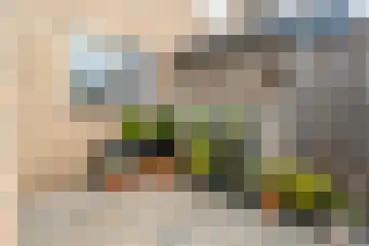 Iepenlaan 20 Balkbrug thumbnail 33
