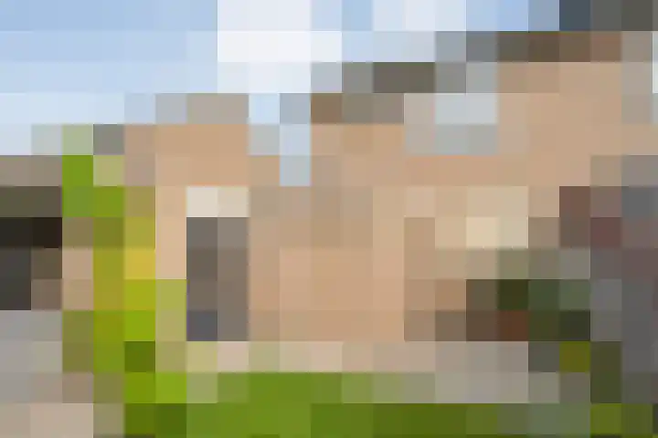 Iepenlaan 20 Balkbrug thumbnail 34