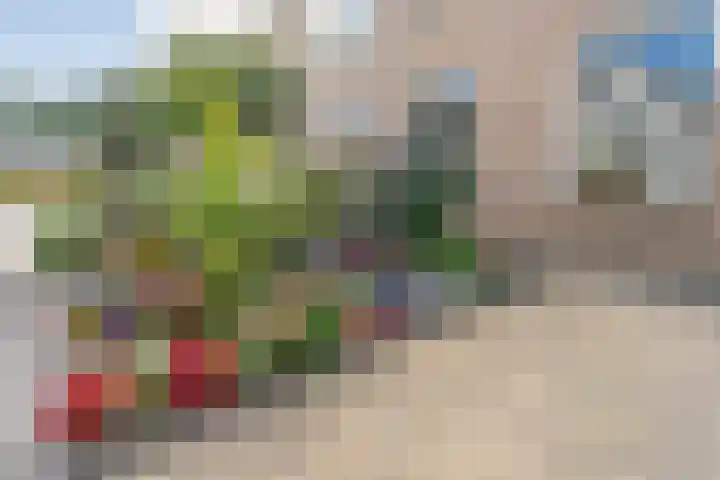 Iepenlaan 20 Balkbrug thumbnail 35