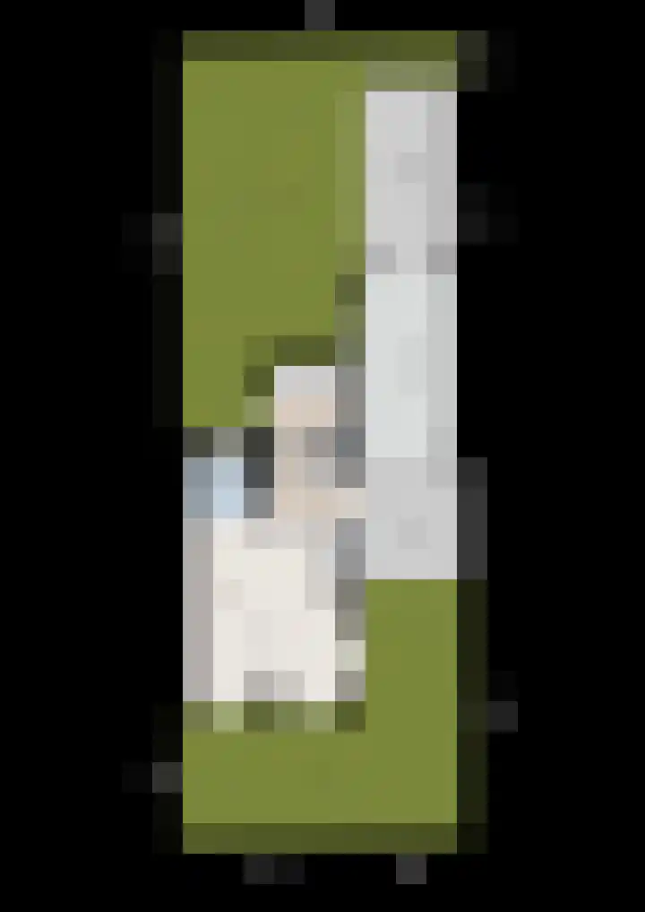 Iepenlaan 20 Balkbrug thumbnail 39