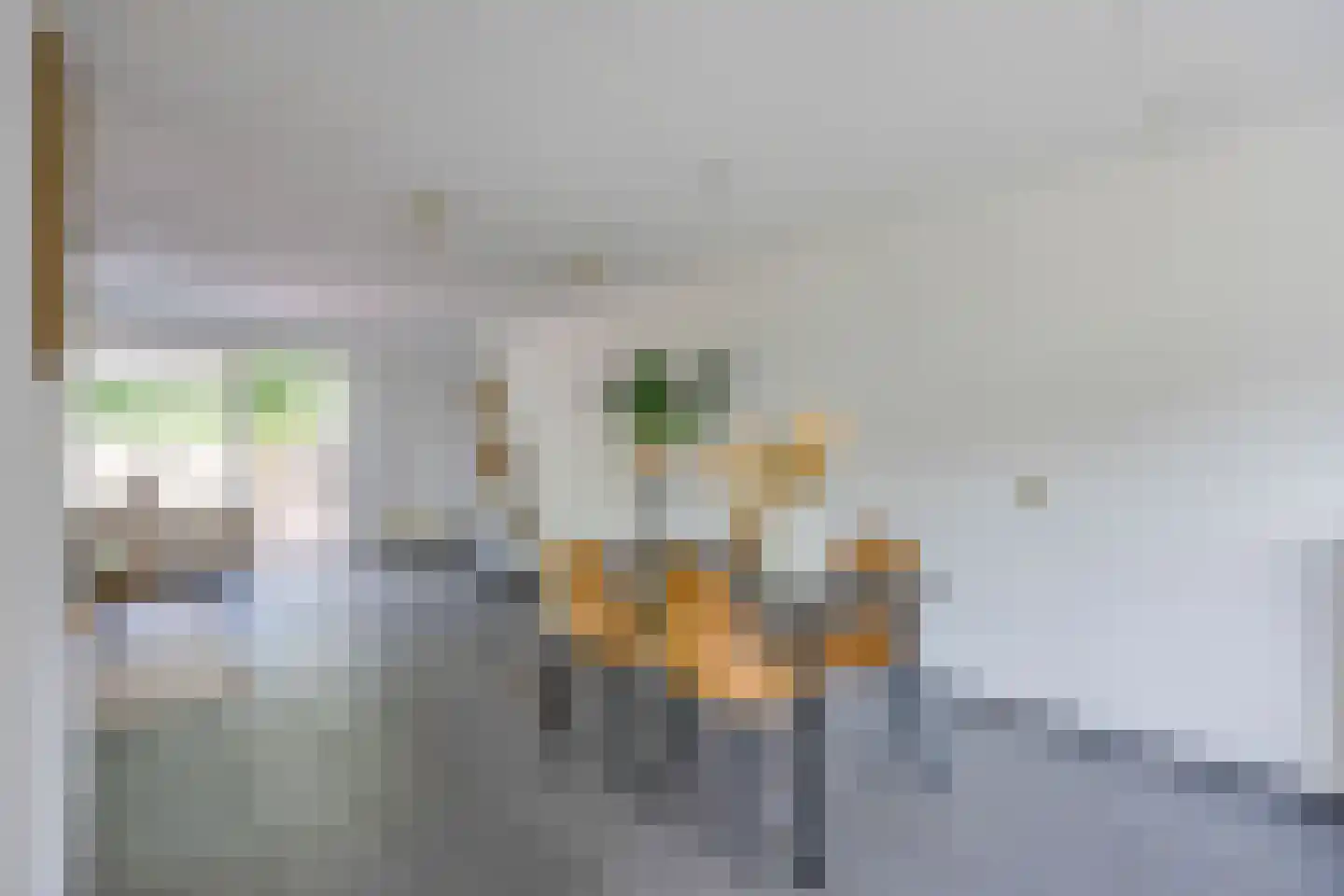 Iepenlaan 20 Nieuwe Pekela thumbnail 10