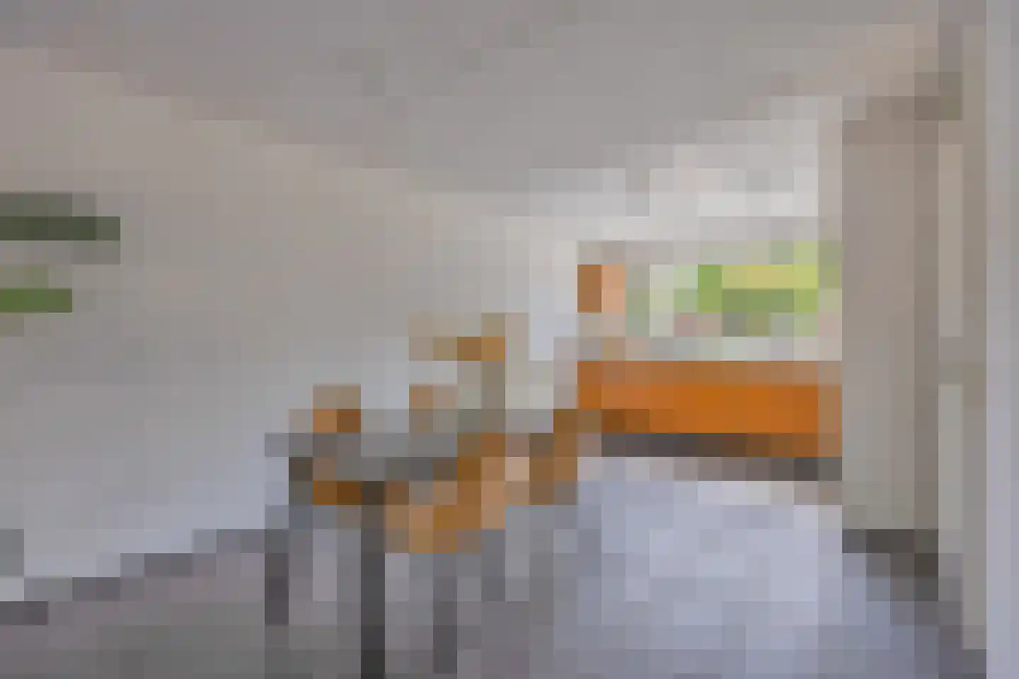 Iepenlaan 20 Nieuwe Pekela thumbnail 19