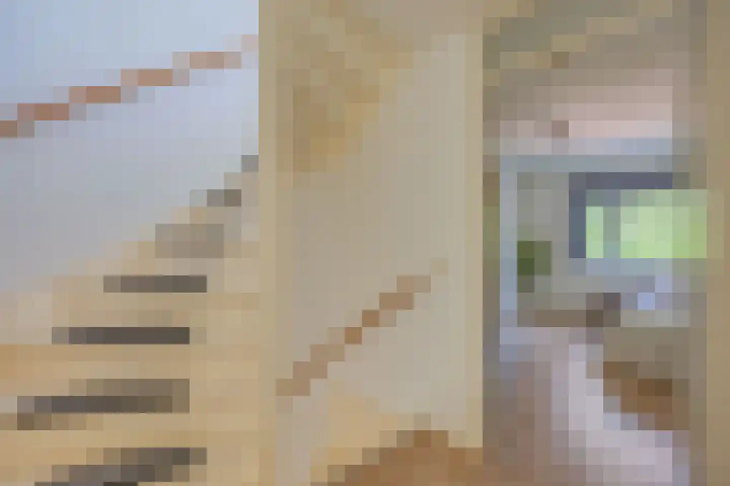 Iepenlaan 20 Nieuwe Pekela thumbnail 22