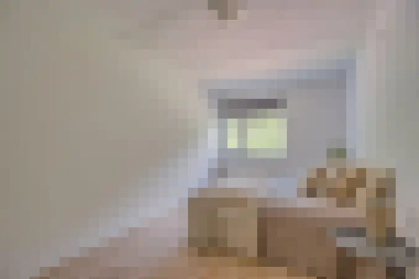 Iepenlaan 20 Nieuwe Pekela thumbnail 26