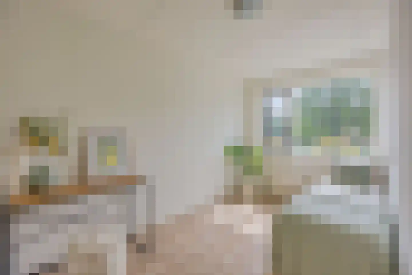 Iepenlaan 20 Nieuwe Pekela thumbnail 29