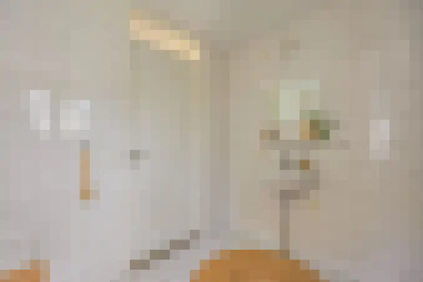 Iepenlaan 20 Nieuwe Pekela thumbnail 34