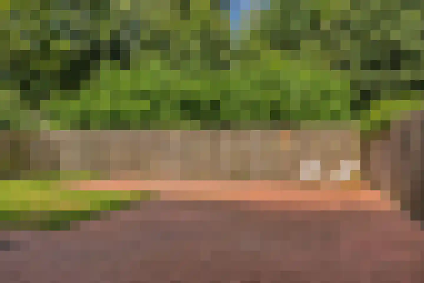 Iepenlaan 20 Nieuwe Pekela thumbnail 46