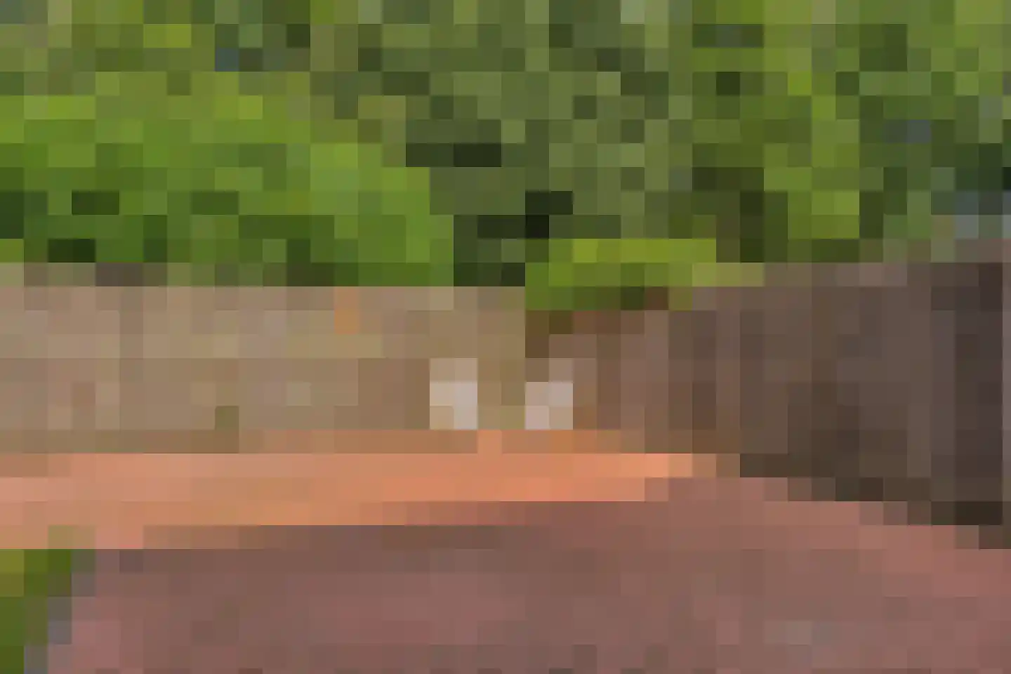 Iepenlaan 20 Nieuwe Pekela thumbnail 47