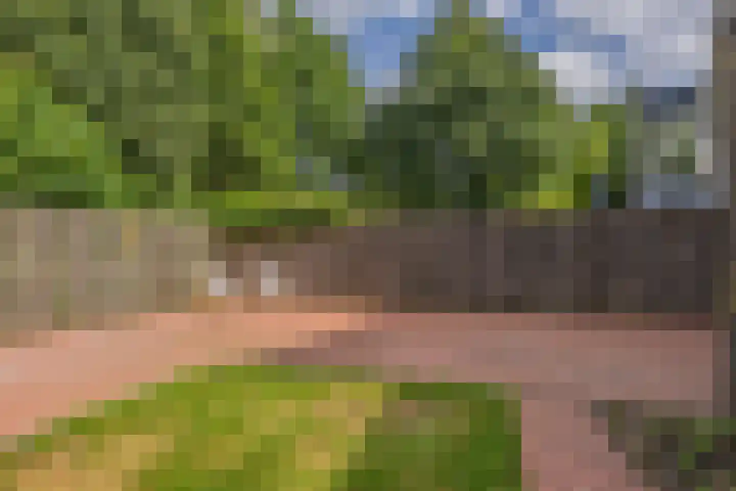 Iepenlaan 20 Nieuwe Pekela thumbnail 49