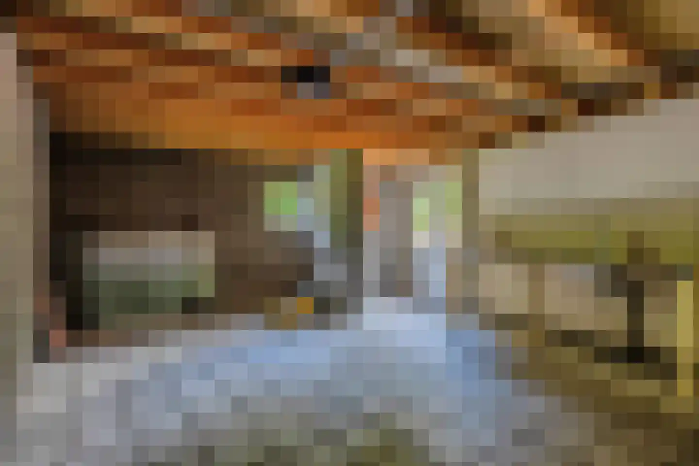 Iepenlaan 20 Nieuwe Pekela thumbnail 54