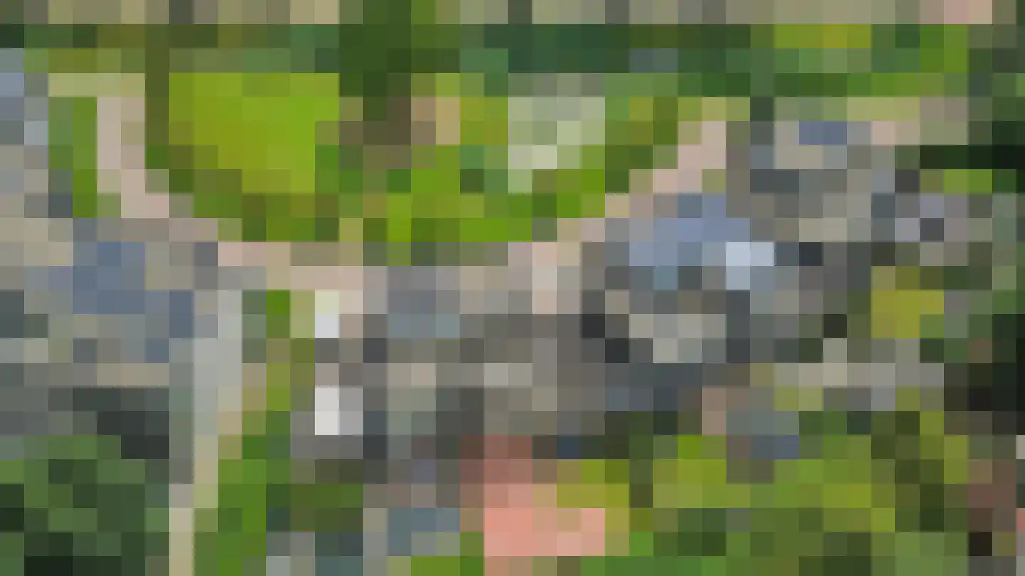 Iepenlaan 20 Nieuwe Pekela thumbnail 55