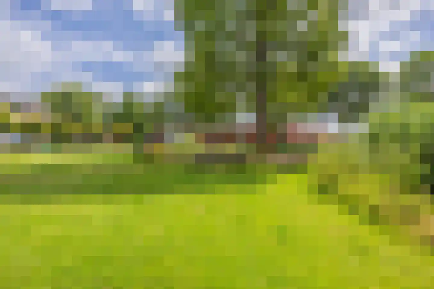 Iepenlaan 20 Nieuwe Pekela thumbnail 57