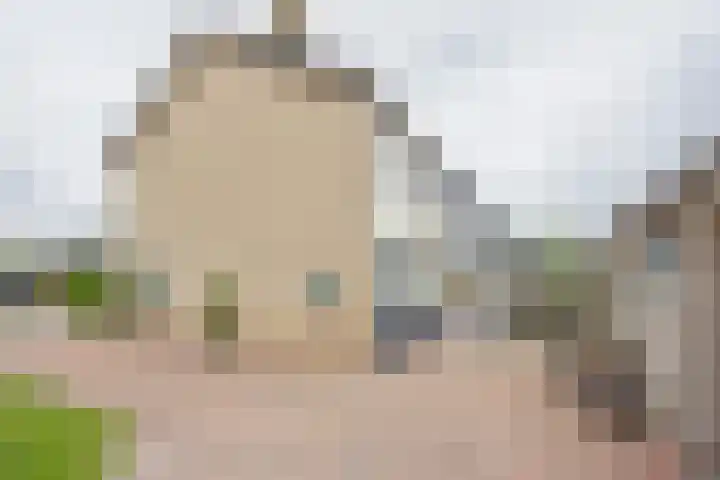 Iepenlaan 20 Nijkerk thumbnail 23