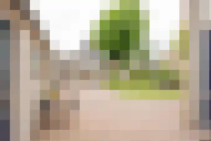 Iepenlaan 20 Nijkerk thumbnail 24
