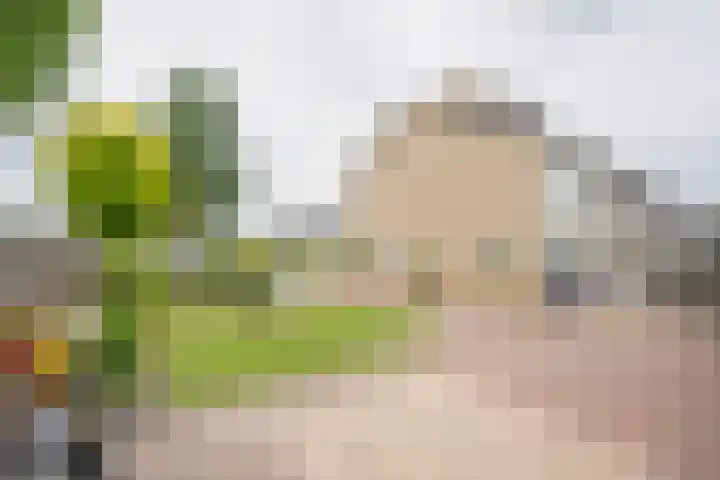 Iepenlaan 20 Nijkerk thumbnail 25