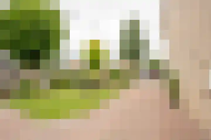 Iepenlaan 20 Nijkerk thumbnail 27