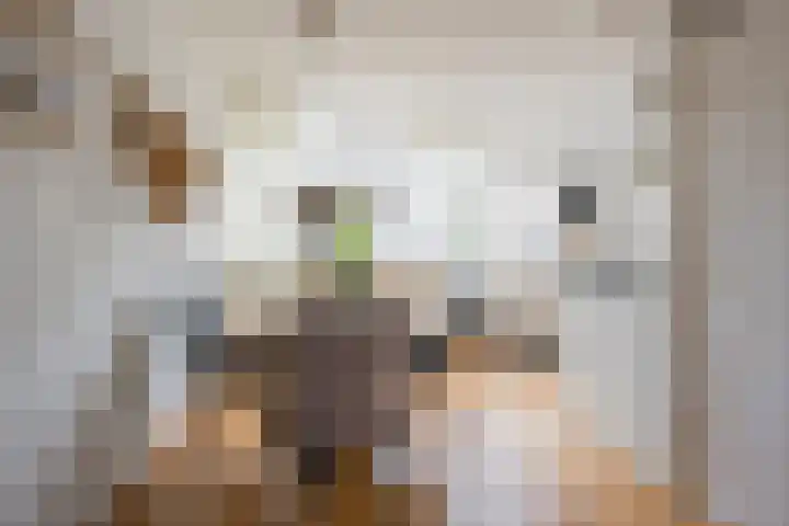 Iepenlaan 20 Nijkerk thumbnail 5