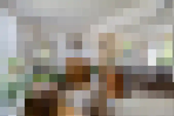 Iepenlaan 21 Zuidlaren thumbnail 10