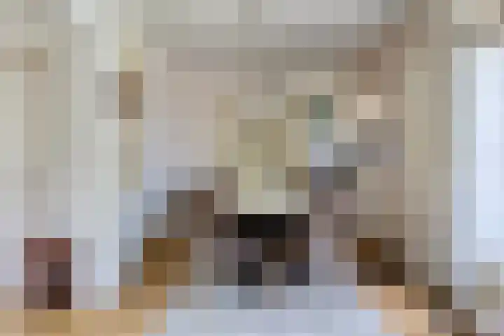 Iepenlaan 21 Zuidlaren thumbnail 11