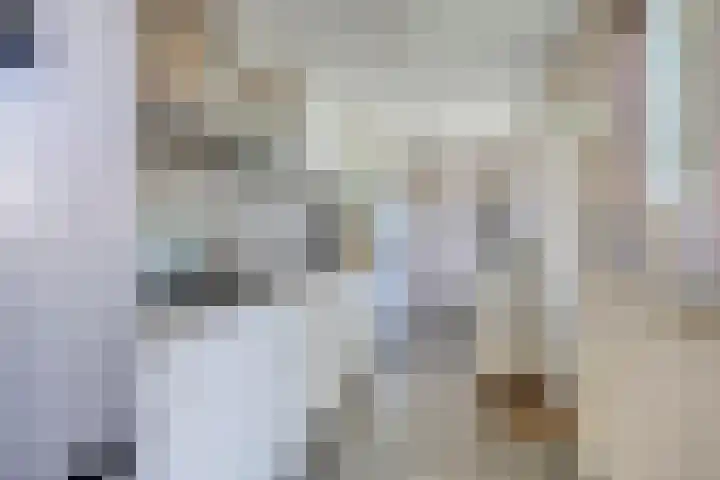 Iepenlaan 21 Zuidlaren thumbnail 12