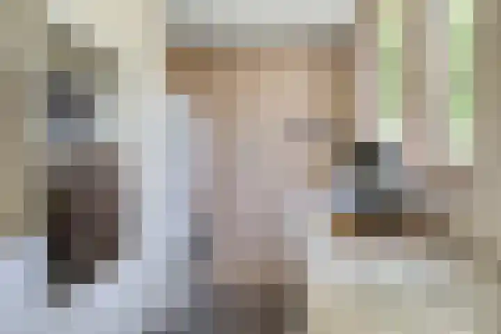 Iepenlaan 21 Zuidlaren thumbnail 13