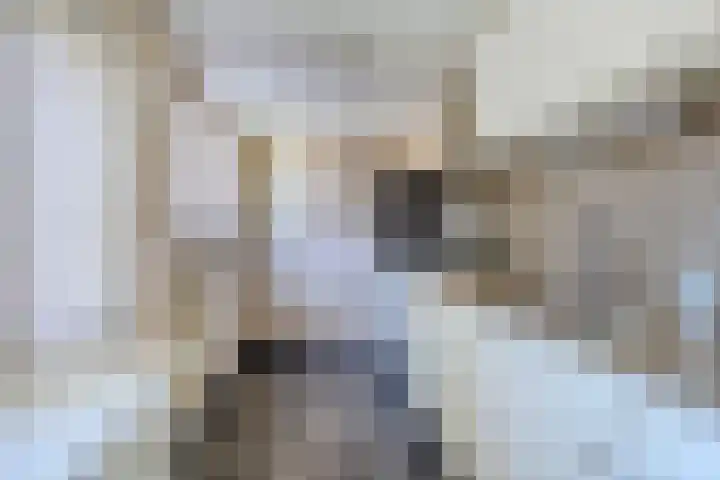 Iepenlaan 21 Zuidlaren thumbnail 14