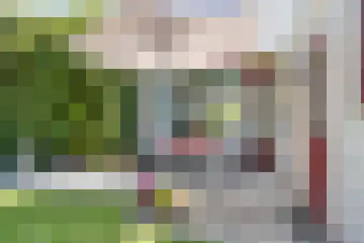 Iepenlaan 21 Zuidlaren thumbnail 15