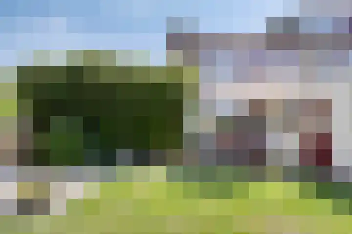 Iepenlaan 21 Zuidlaren thumbnail 16