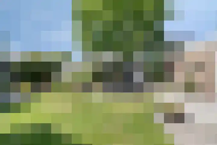 Iepenlaan 21 Zuidlaren thumbnail 17