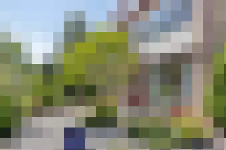 Iepenlaan 21 Zuidlaren thumbnail 21