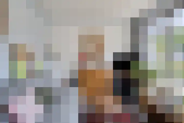 Iepenlaan 21 Zuidlaren thumbnail 25