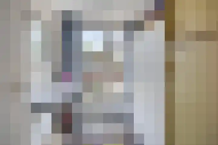 Iepenlaan 21 Zuidlaren thumbnail 26
