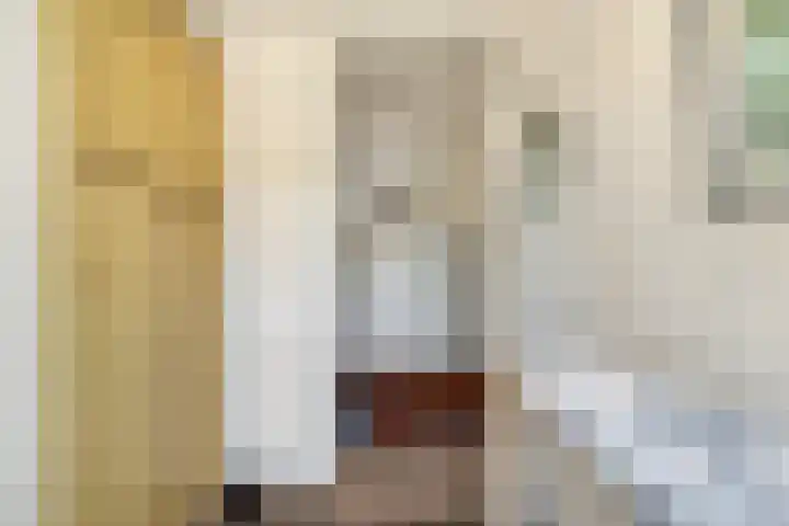 Iepenlaan 21 Zuidlaren thumbnail 27
