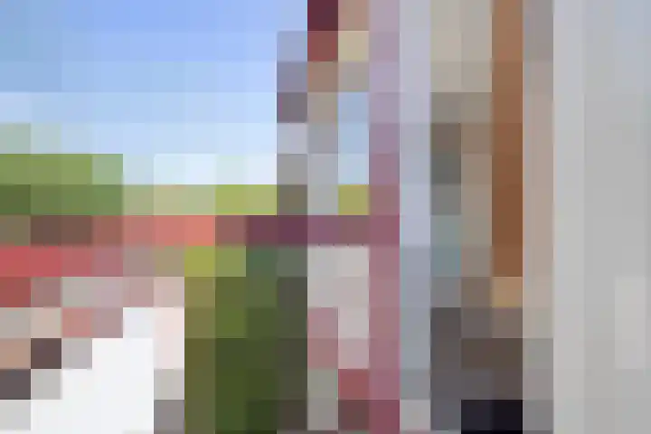 Iepenlaan 21 Zuidlaren thumbnail 34